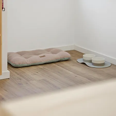 Daire Meu Pe De Laranja Lima - In The Center Of *